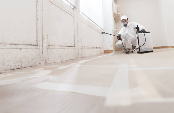 24/7 Emergency Basement Mold Remediation experts in Dallas, TX